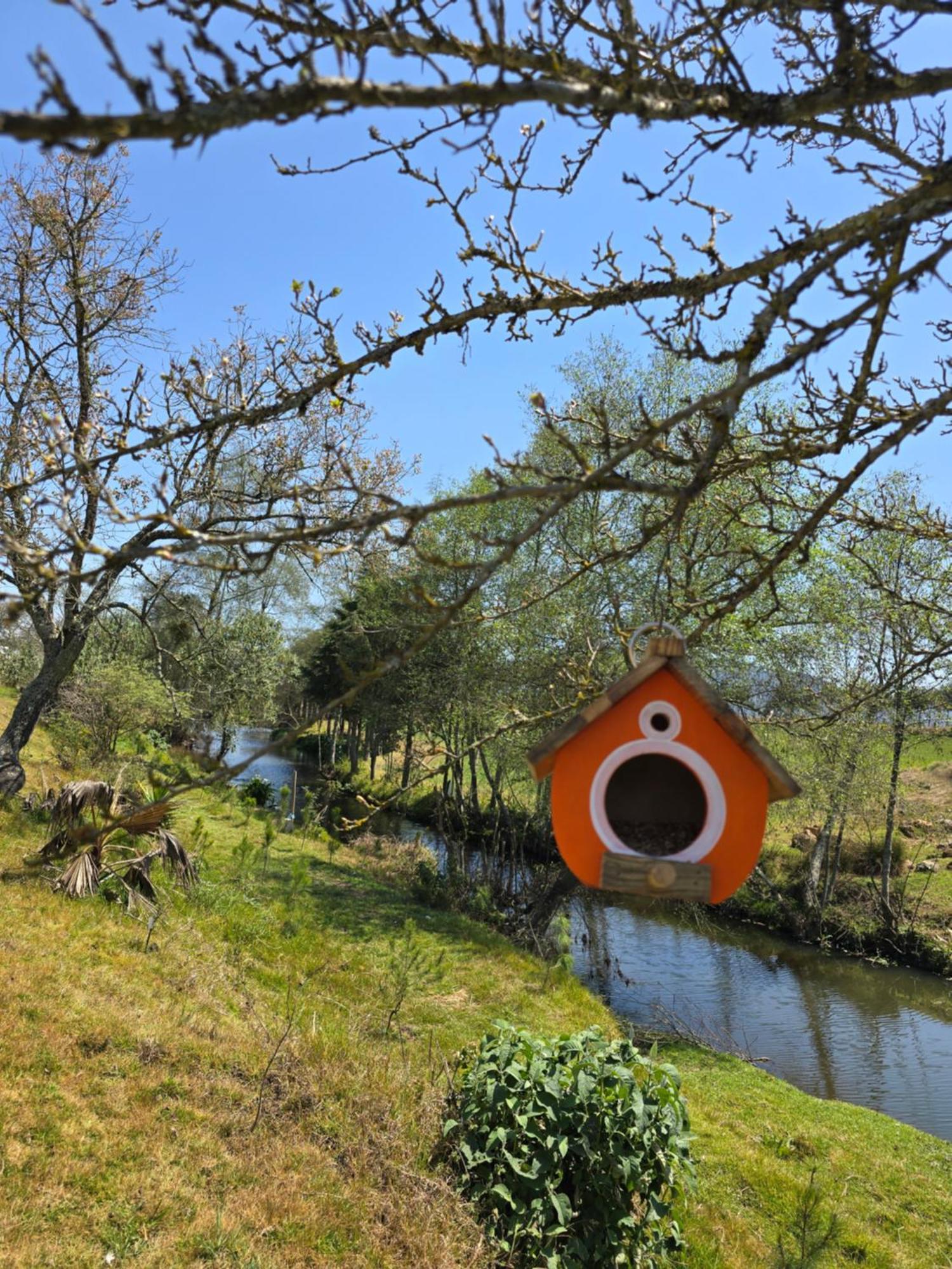 Cabana El Rio La Grande Zacatlán Exteriör bild